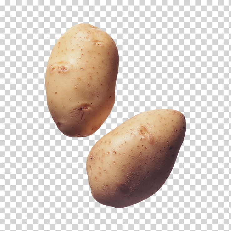 Potato 24