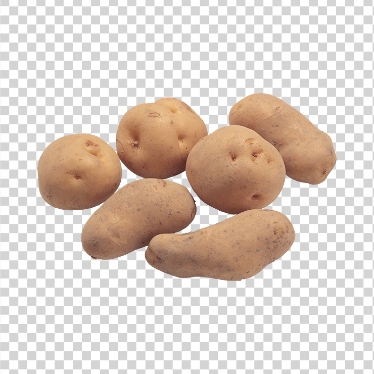Potato 25