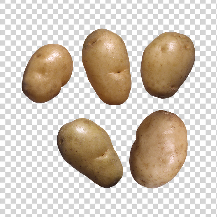 Potato 26