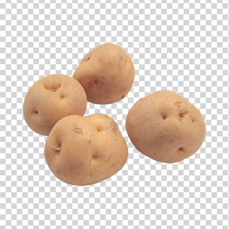 Potato 28