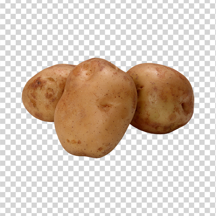 Potato 31