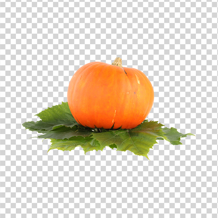 Pumpkin 42