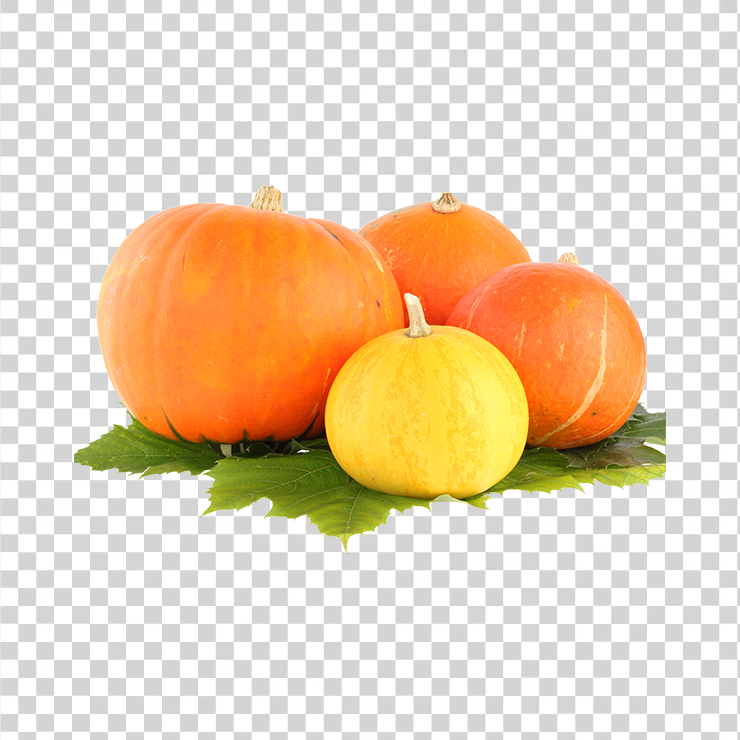 Pumpkin 43