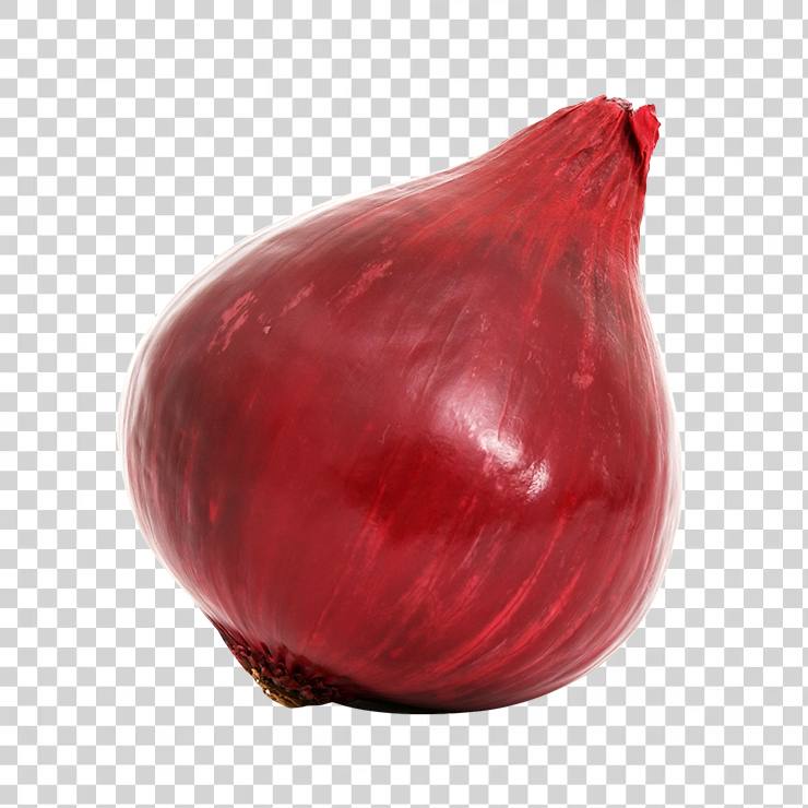 Red onion bulb