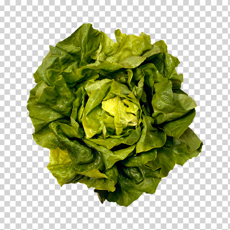 Salad 16