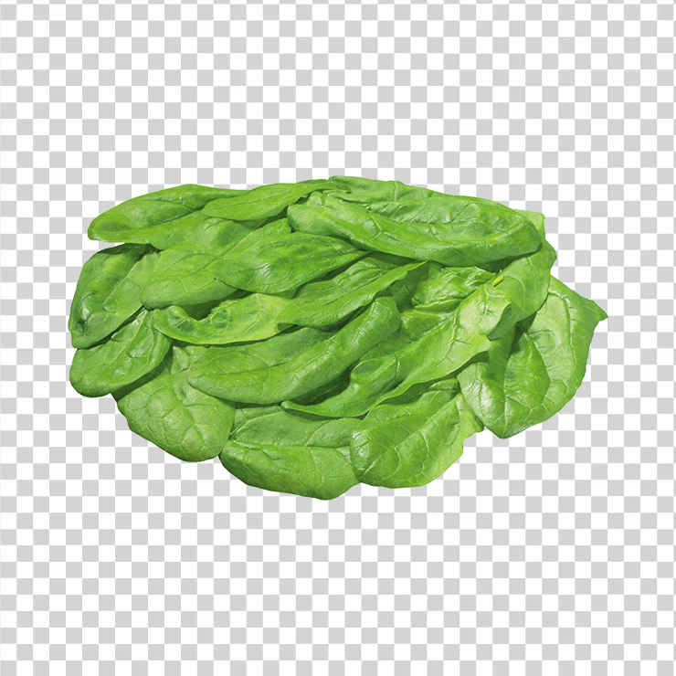 Salad 4
