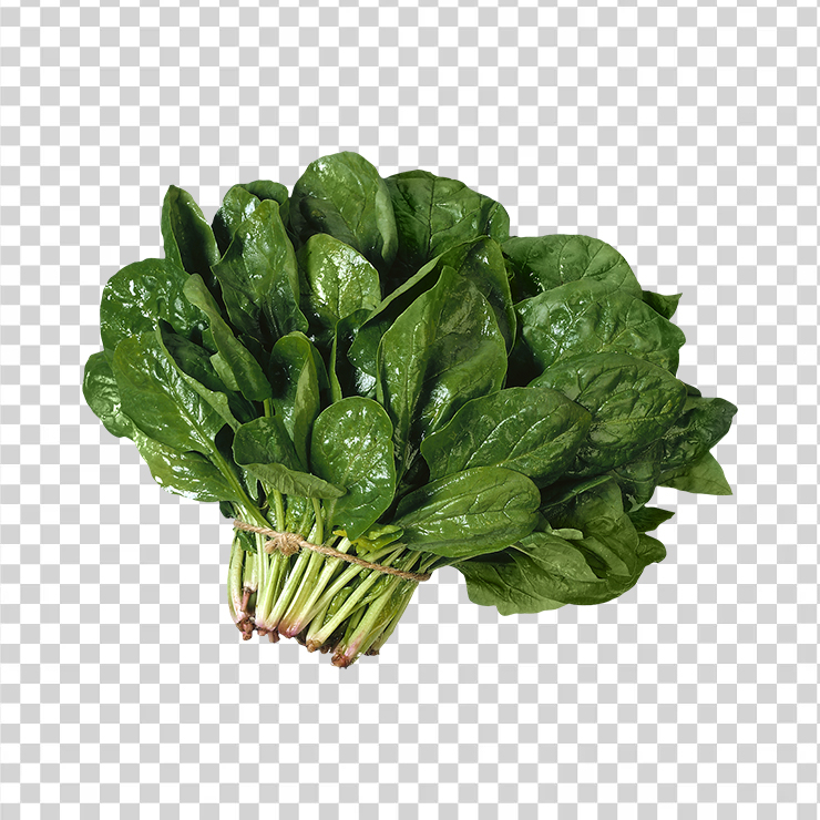 Salad 5