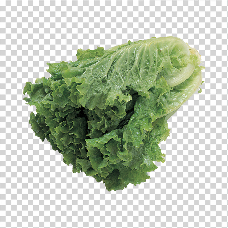 Salad 8