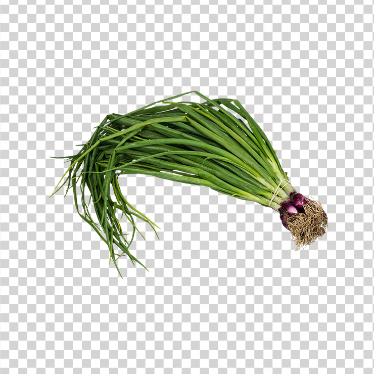 Scallion spring onion