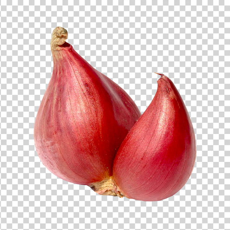 Shallot onion