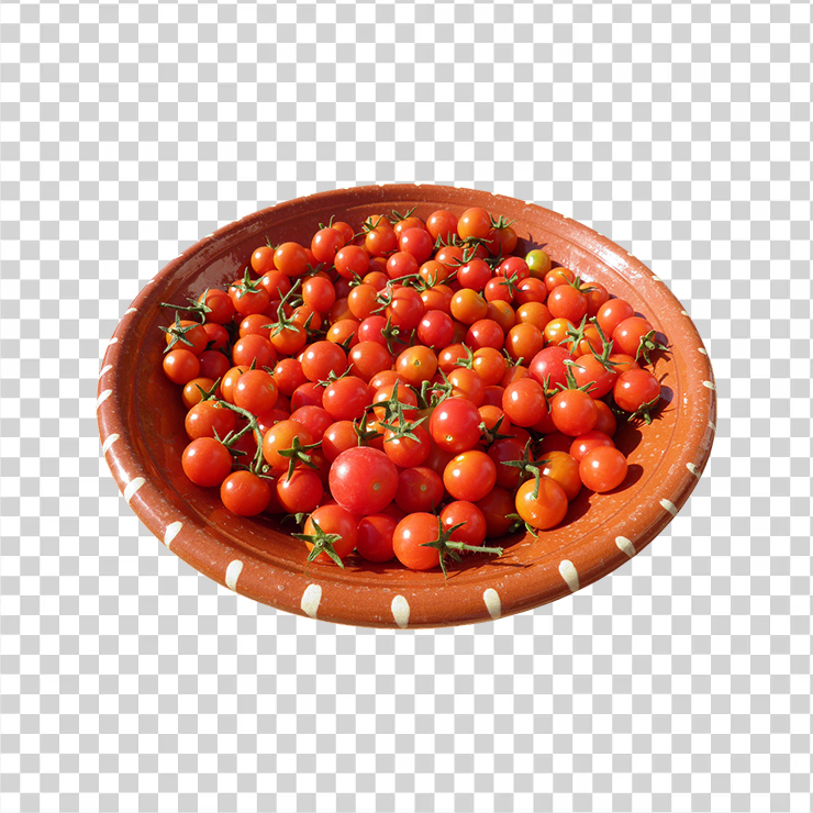 Sherry Tomatos 558