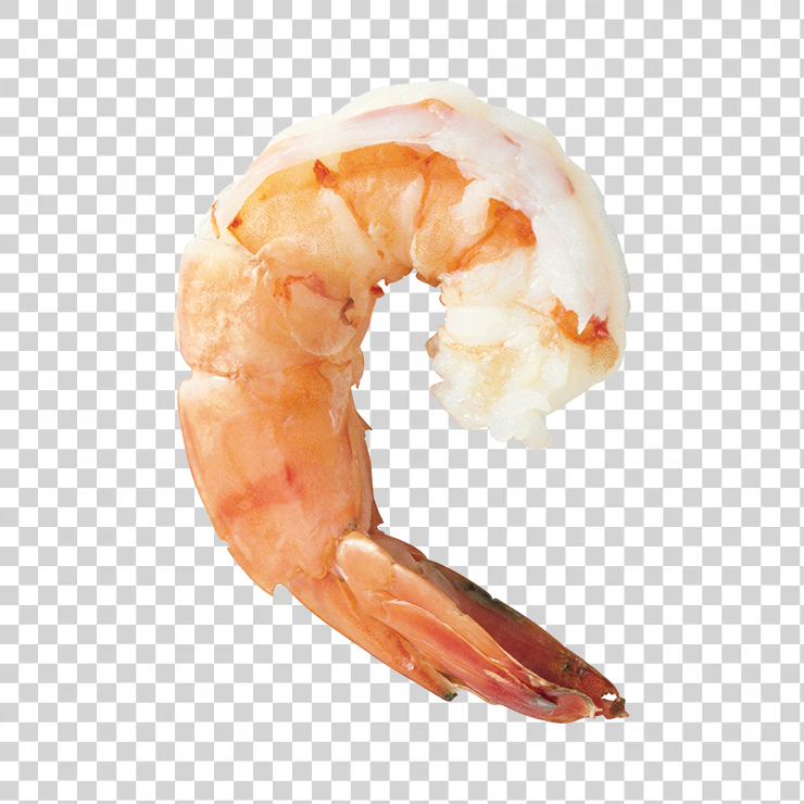 Shrimps 02