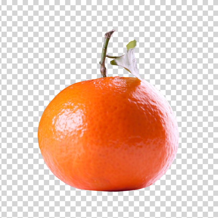 Tangerine Citrus Fruit