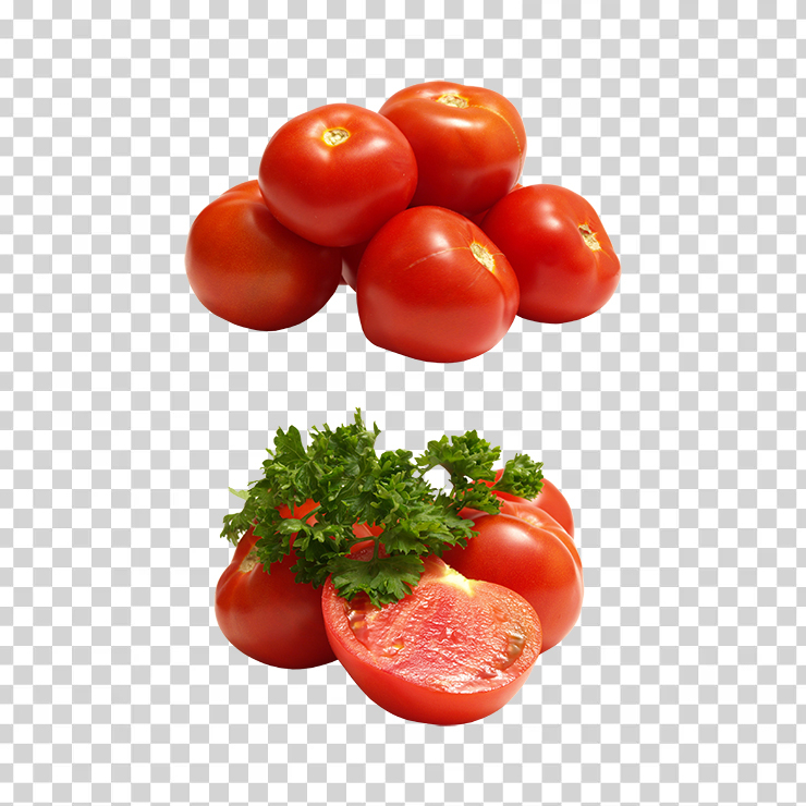 Tomato 47