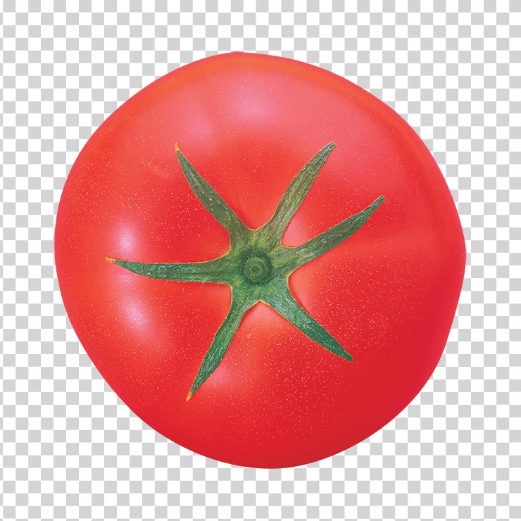 Tomato 50