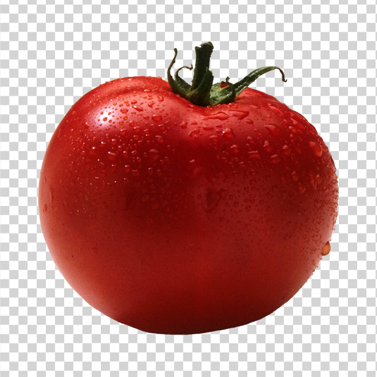 Tomato 53