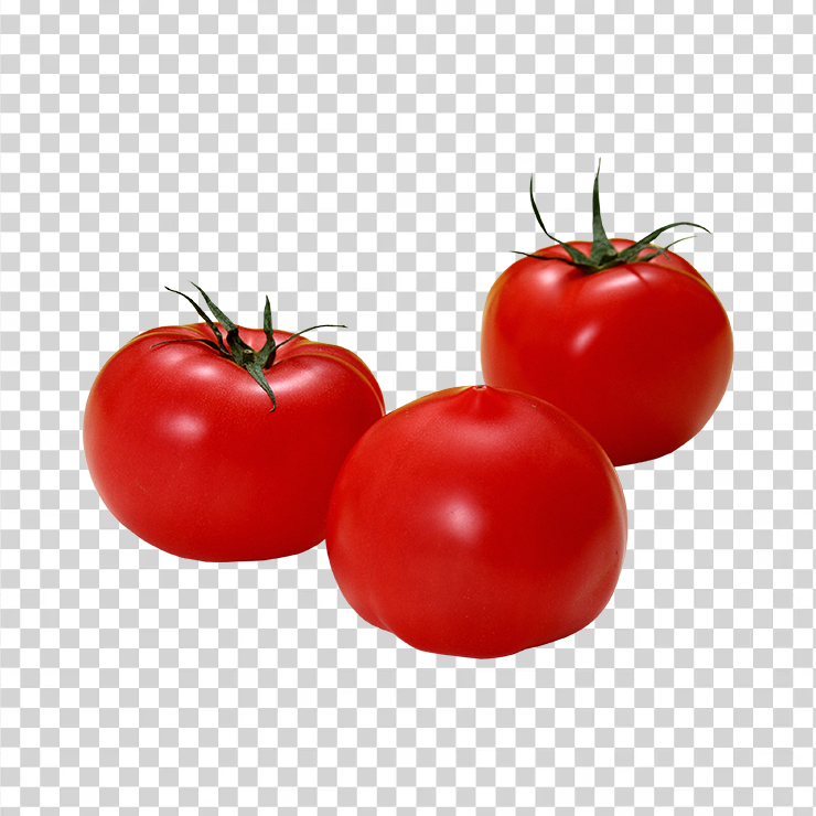 Tomato 54