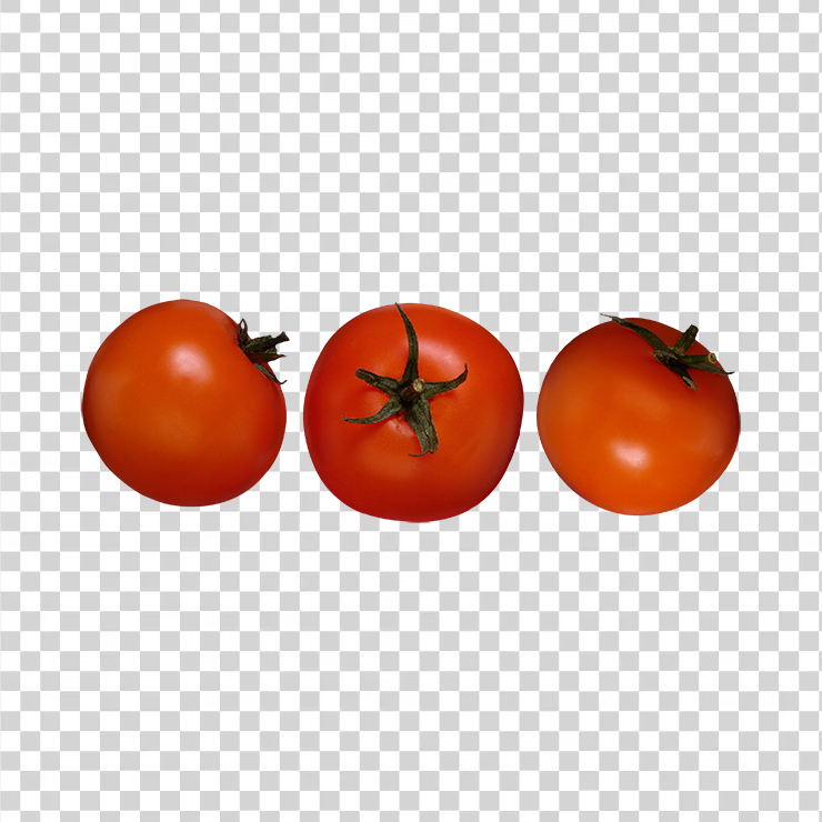 Tomato 64