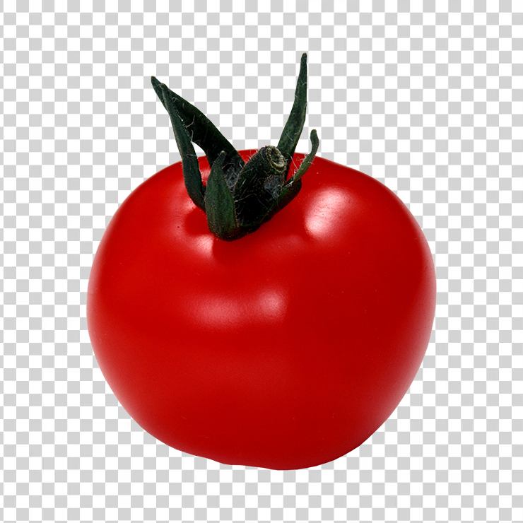 Tomato 67