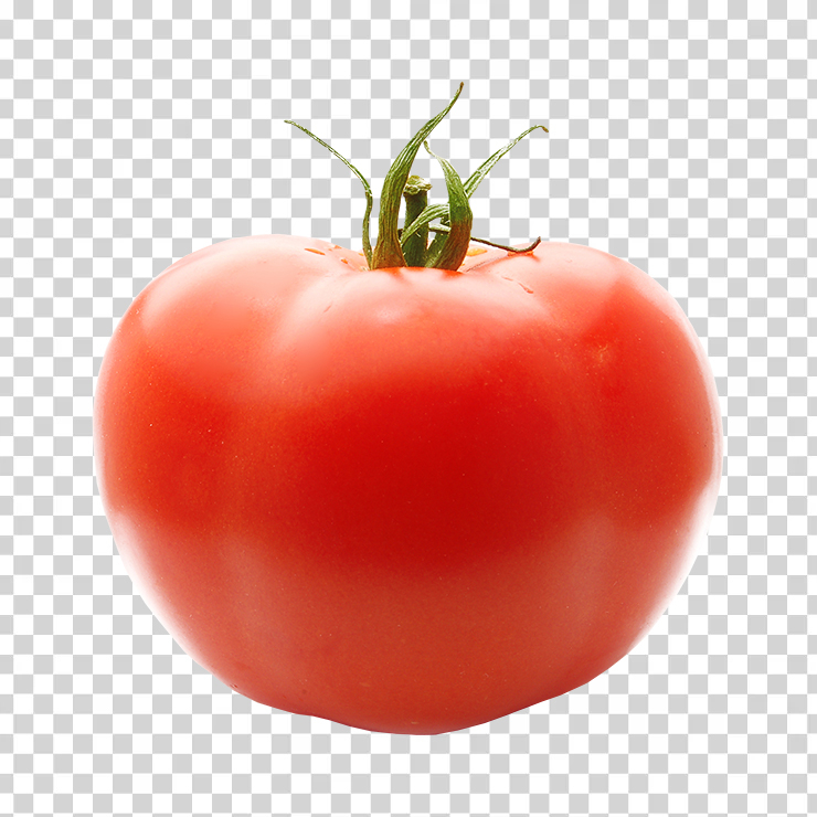 Tomato 69