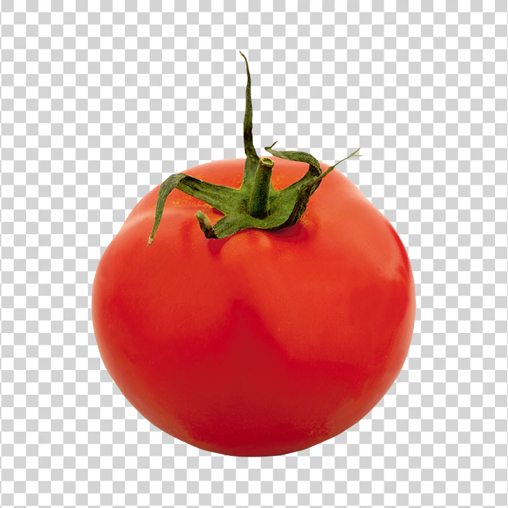 Tomato 75