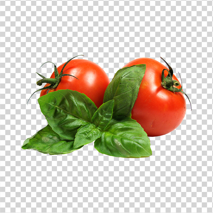 Tomato 9