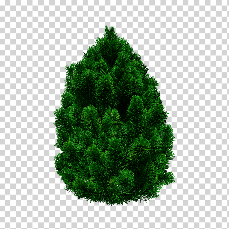 Tree 96