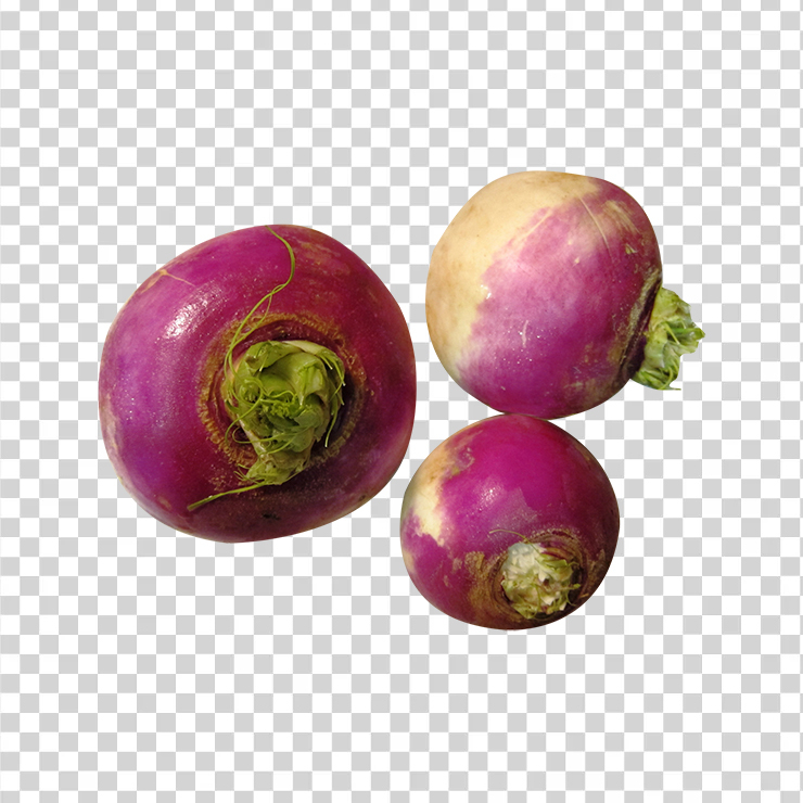 Turnip 2