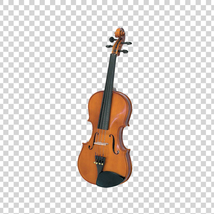 Violin 1261