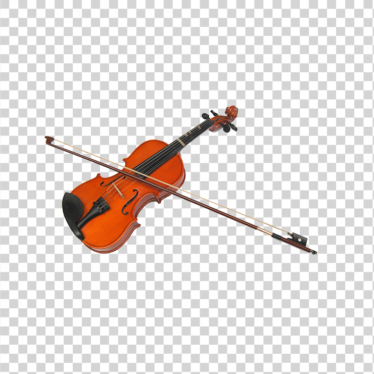 Violin 22