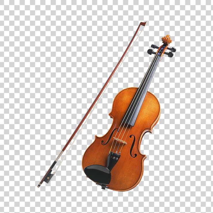 Violin 23