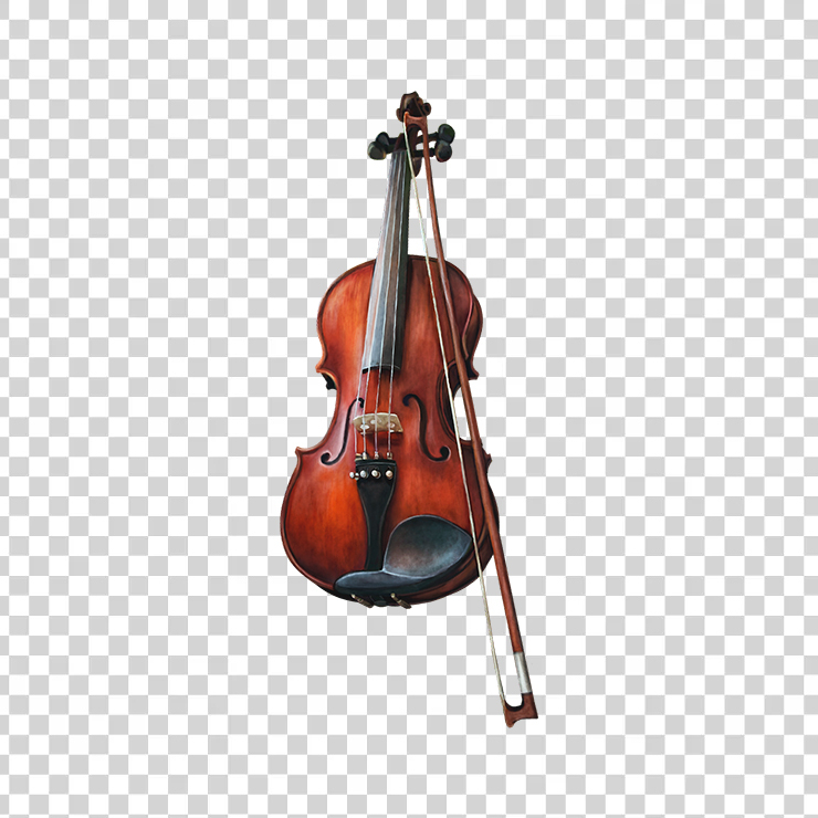 Violin 24