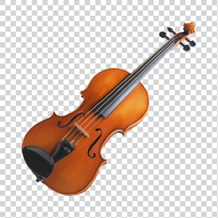 Violin 25
