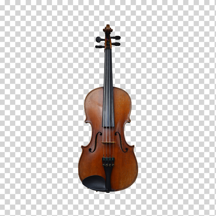 Violin 29