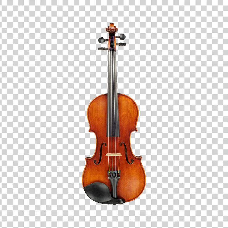 Violin 41