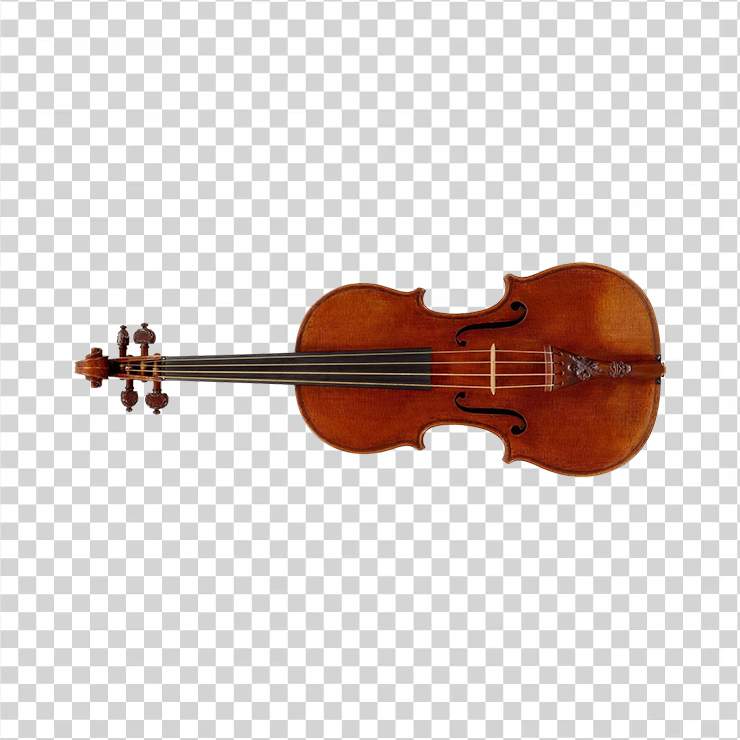 Violin 42