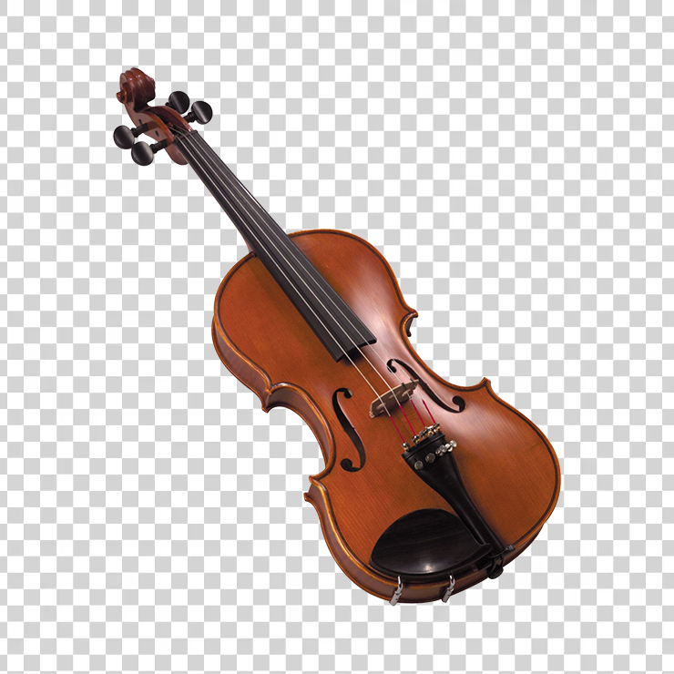 Violin 43
