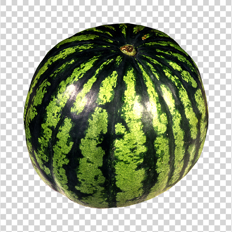 Watermelon 25