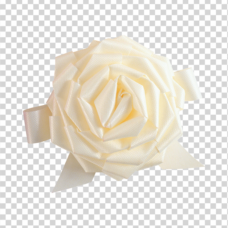 White Roses 4