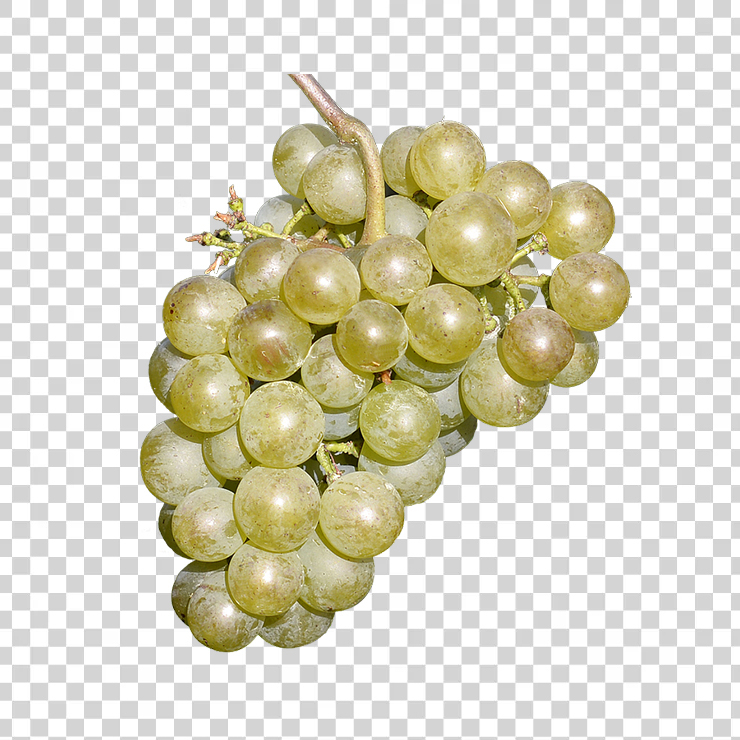 Wine Grapes Free