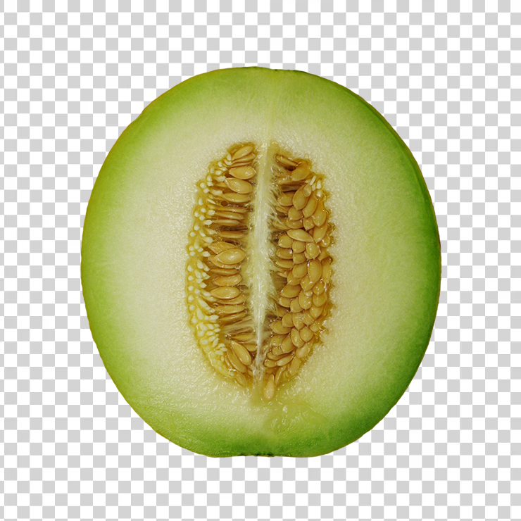 Wintermelon