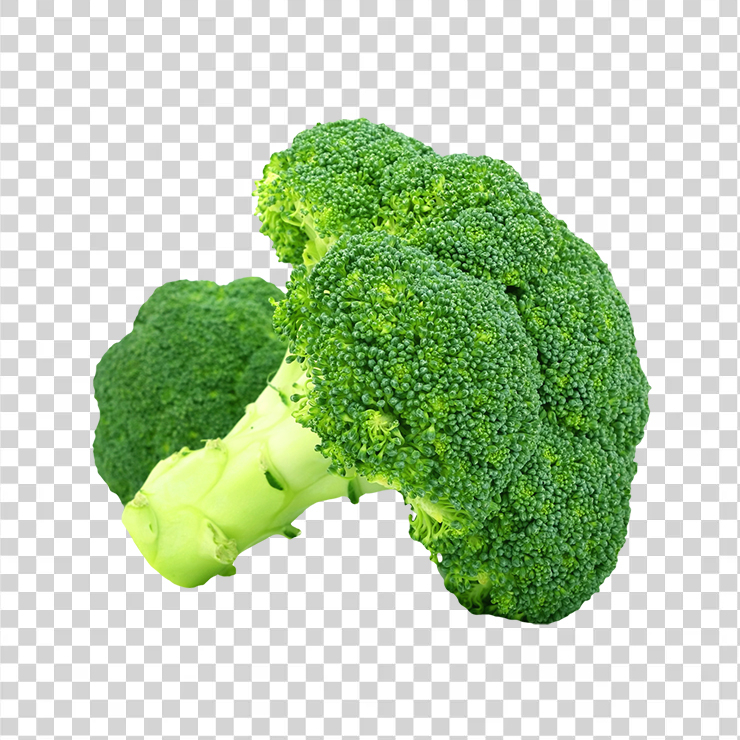 broccoli png transparent image